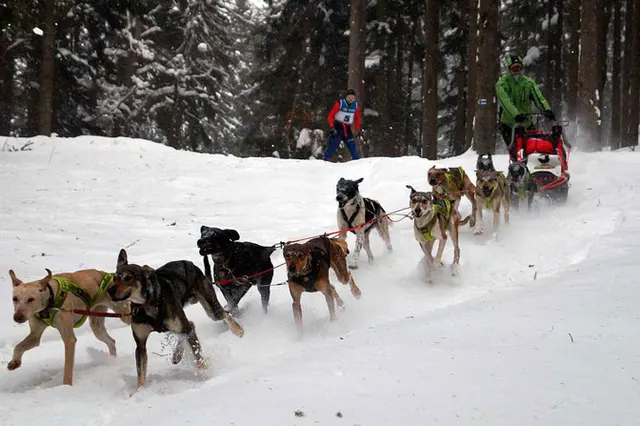 Karkonosze: zimowe imprezy