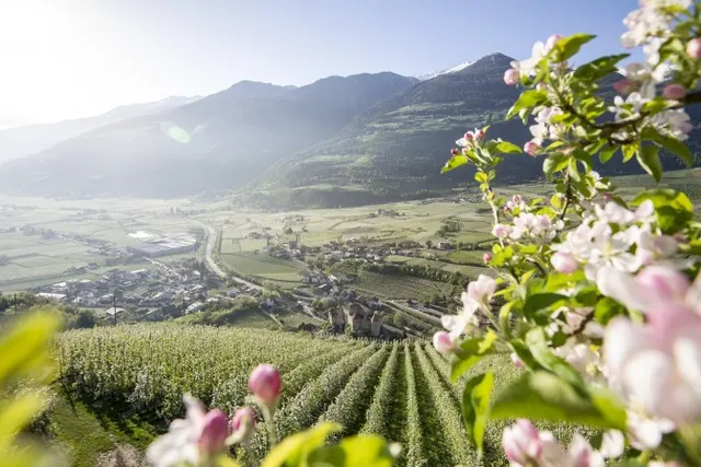Fot. IDM Südtirol, Alex Filz, Vinschgau / Val Venosta