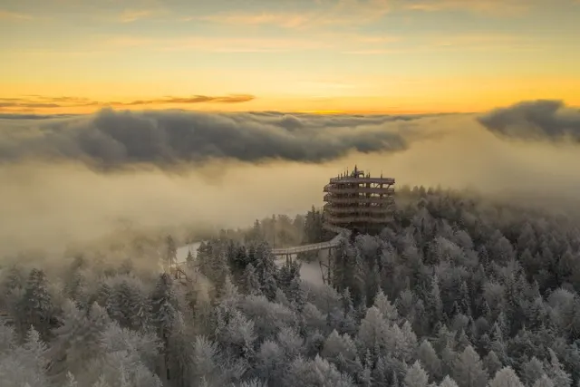 Wieża widokowa, Krynica Zdrój