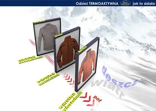 Polar uniwersalny