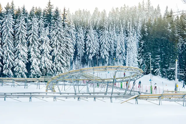 Czarna Góra, Alpine Coaster Czarna Żmija