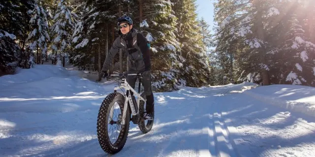 Fat Bike - Trentino