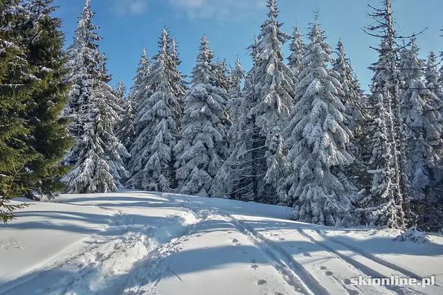 Wiosenne skitury - na Turbacz z Koninek