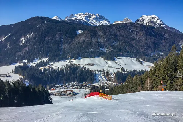 Panaronda - Riedlkopf