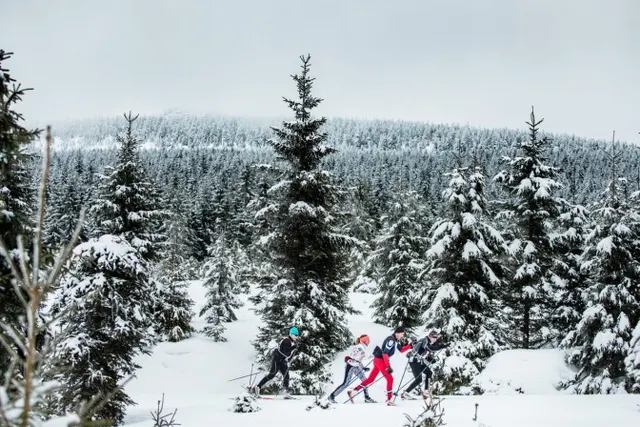 Legendarna Izerska 50 wystartuje już w ten weekend