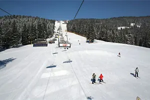 Polanasz Szymoszkowa