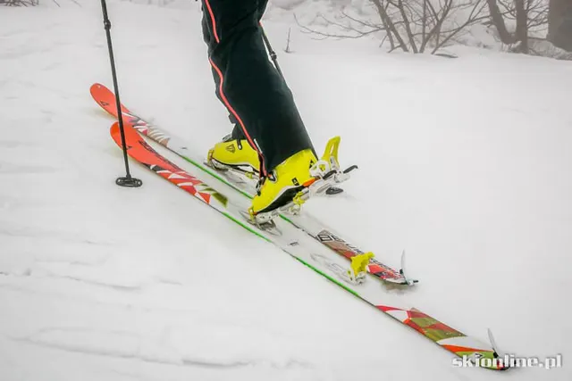 TEST Fischer Transalp 88. Narty nie tylko dla skiturowców