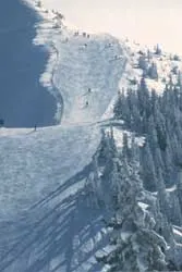 Trasa narciarska w Westendorf fot. SkiWelt