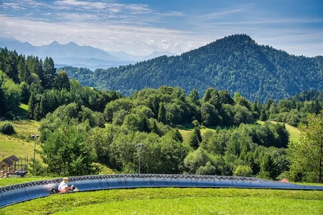 Szczawnica Palenica