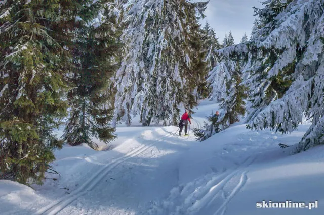Wiosenne skitury - na Turbacz z Koninek