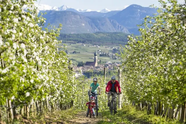 Fot. IDM Südtirol, Alex Filz, Bolzano / Bozen