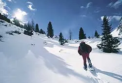 Val di Fiemme w zimie znaczy radość!