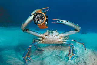 Tissot SEA-Touch: niezawodny zegarek do nurkowania ze szkiełkiem dotykowym