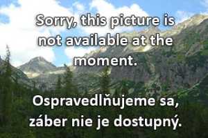 Kamera Valča Valcanska Dolina - SnowlandVal 