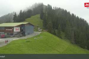 Talkaser (LIVE Stream)