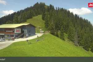 Talkaser (LIVE Stream)