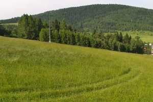 Kamera Krynica-Zdrój Słotwiny Słotwiny - Krynica Zdrój