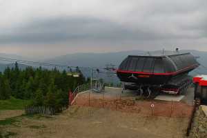 SKRZYCZNE