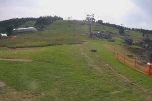 Zieleniec