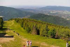 SKRZYCZNE