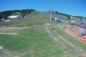 Zieleniec