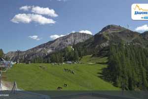 Kamera Gamskogelhütte (LIVE Stream)