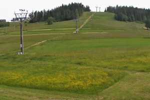 Kamera Czarna Góra Koziniec Koziniec SKI Czarna Góra