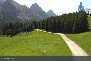 Kamera Ehrwald Ehrwalder Almbahn - Tiroler Zugspitz Are Feldernalm (LIVE Stream)
