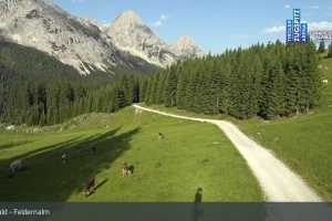 Kamera Ehrwald Ehrwalder Almbahn - Tiroler Zugspitz Are Feldernalm (LIVE Stream)