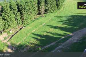 Kamera Kouty nad Desnou  Kouty nad Desnou (LIVE Stream)