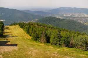 SKRZYCZNE
