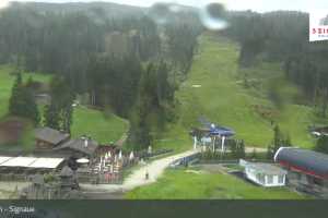 Signaue (LIVE Stream)