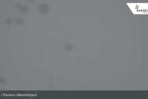 Kamera Davos  Weissfluhjoch (LIVE Stream)