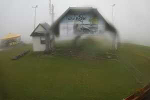Grapa-Litwinka