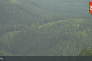 Kamera Annaberg  Hennesteck Bergstation (LIVE Stream)