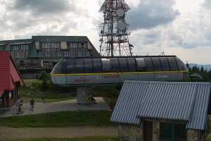 SKRZYCZNE