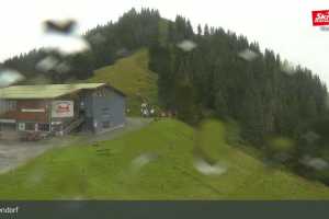 Talkaser (LIVE Stream)