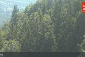 Kamera Annaberg  Hennesteck Bergstation (LIVE Stream)