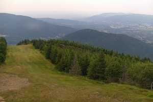 SKRZYCZNE