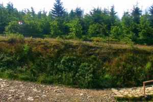 SZCZYRK MOUNTAIN RESORT - Zbójnicka Kopa