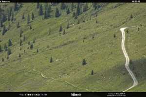 Kamera San Martino di Castrozza  Malga Tognola