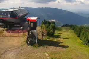 SKRZYCZNE