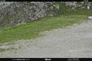 Kamera San Martino di Castrozza  Tognola - Pista UNO