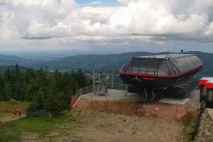 SKRZYCZNE