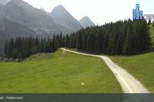 Feldernalm (LIVE Stream)
