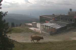 Kamera Semmering Stuhleck Panoramarestaurant-W11