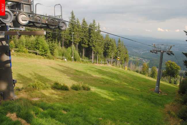 Protěž