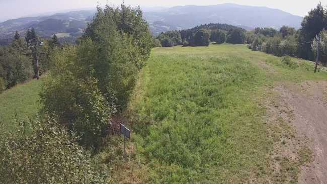 Widok z góry