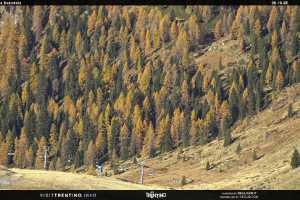 Kamera San Martino di Castrozza  Malga Tognola