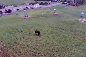 Kamera Koszałkowo Wieżyca 